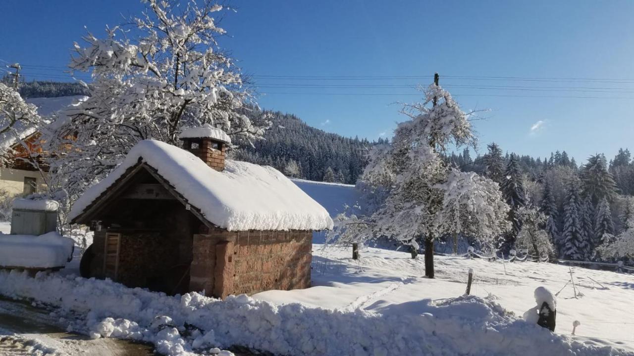 Ferienwohnung Sprauer Baiersbronn Exterior foto